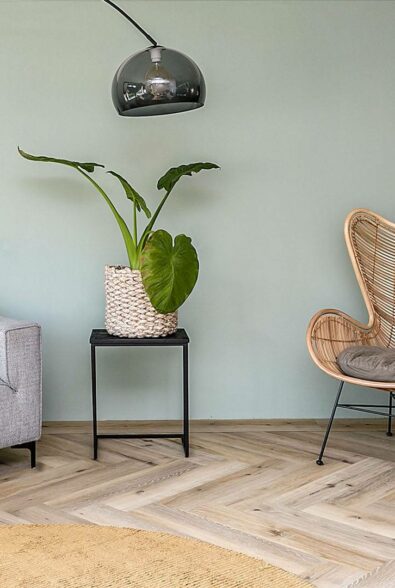 De woning van familie Schotpoort