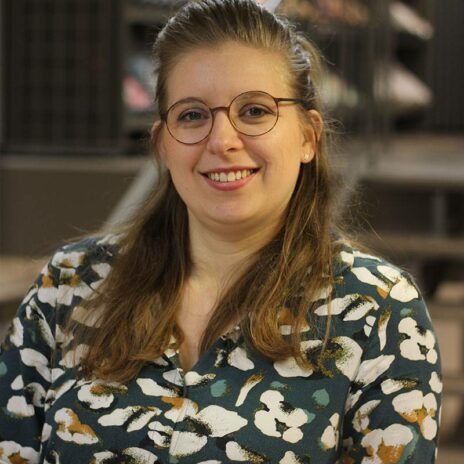 Decorette Gulpen Anne