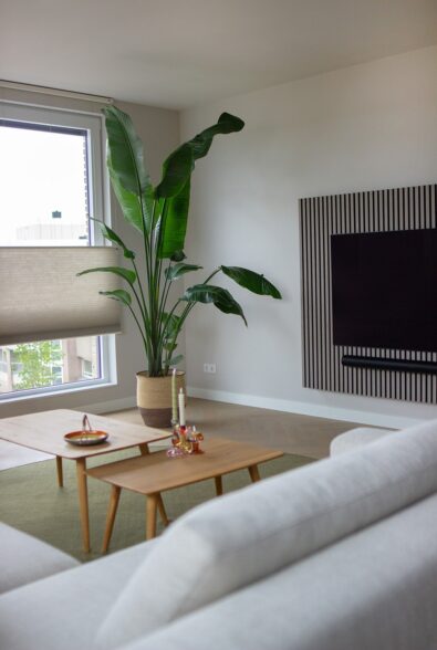 Project Decorette made