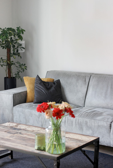 Portfolio Decorette Elburg