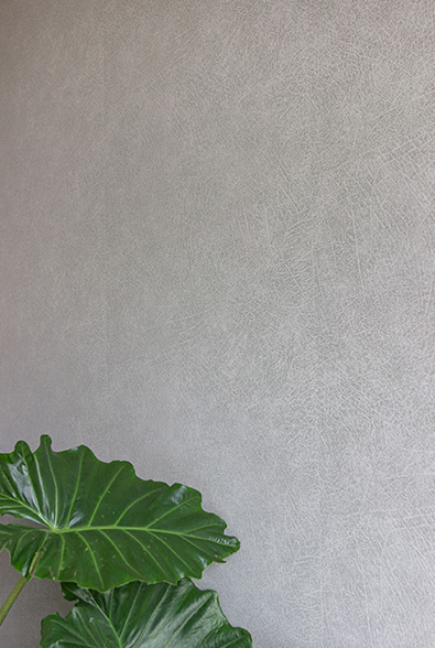 Portfolio Decorette Eerbeek