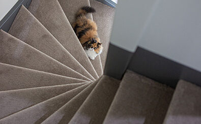 Portfolio Decorette Eerbeek