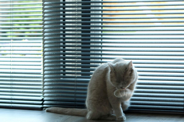 decorette portfolio nijs 03 scaled 1